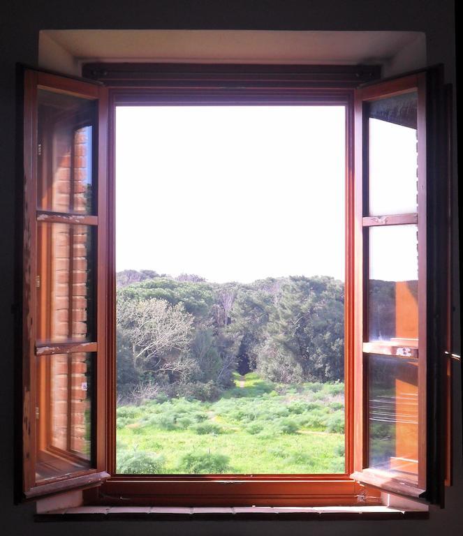 Bed and Breakfast Locanda Oceano Mare Сан-Винченцо Номер фото
